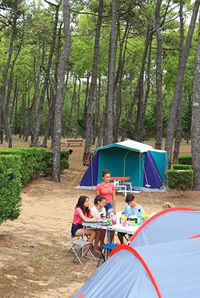 Campsite La Grière La Tranche-sur-Mer Vendée