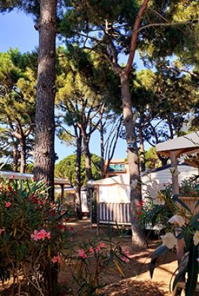 Camping Neptuno Pals Spain Costa Brava