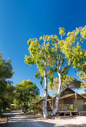 Camping Santa Lucia Saint Raphaël Var