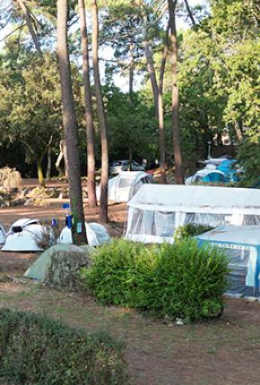 Campsite Domaine de Montcalm Les Mathes La Palmyre Charente-Maritime