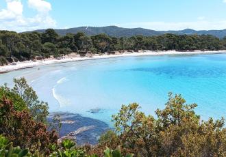 Campsite Les Oursinières Le Pradet Var Méditerranée