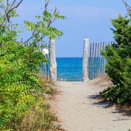 Camping La Marana Borgo Haute Corse
