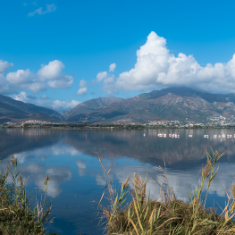 Camping La Marana Borgo Haute Corse