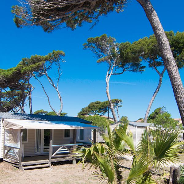 Campsite Eurosurf Hyères Var Méditerranée