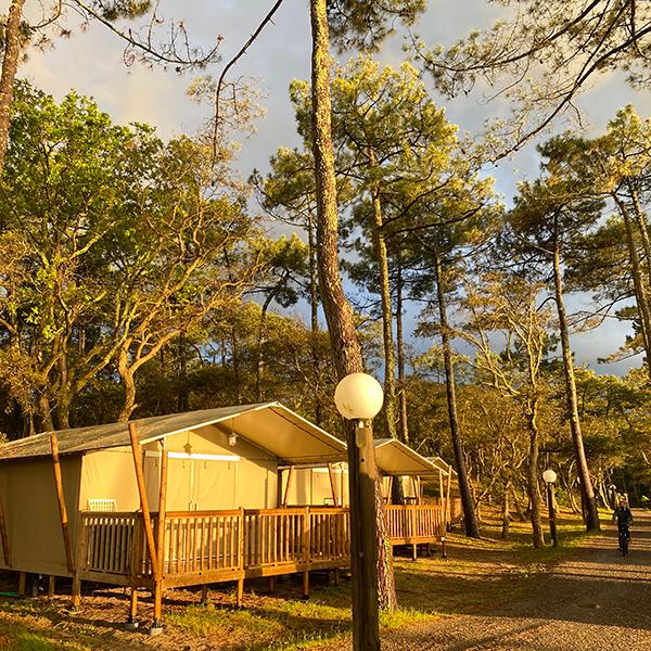 Campsite Domaine de Fierbois Capbreton Landes Aquitaine