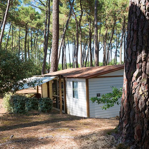 Campsite Domaine de Montcalm Les Mathes La Palmyre Charente-Maritime