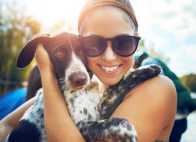 PET - DOG