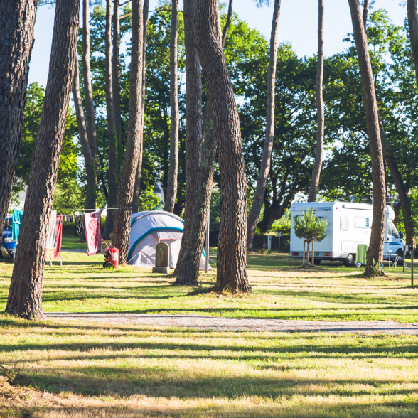 camper site under the trees