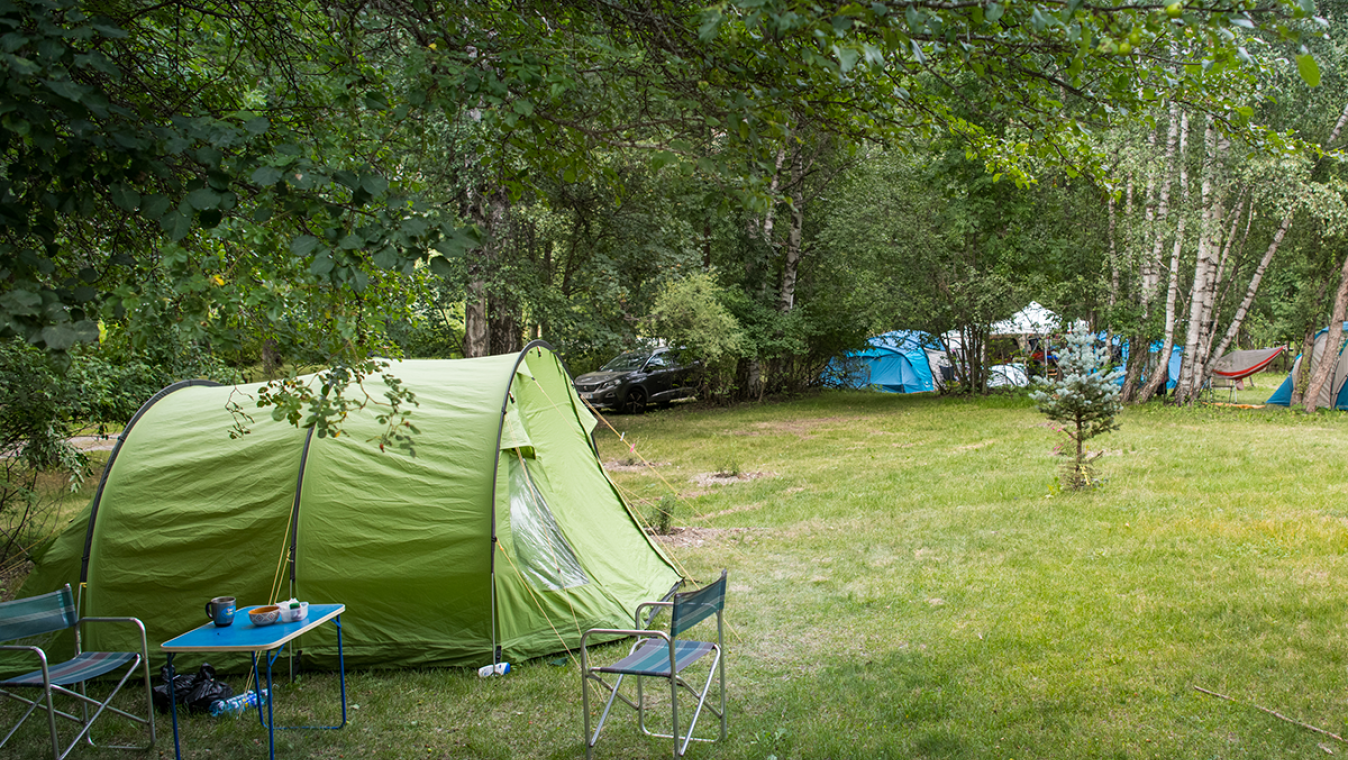 camping tent under the trees