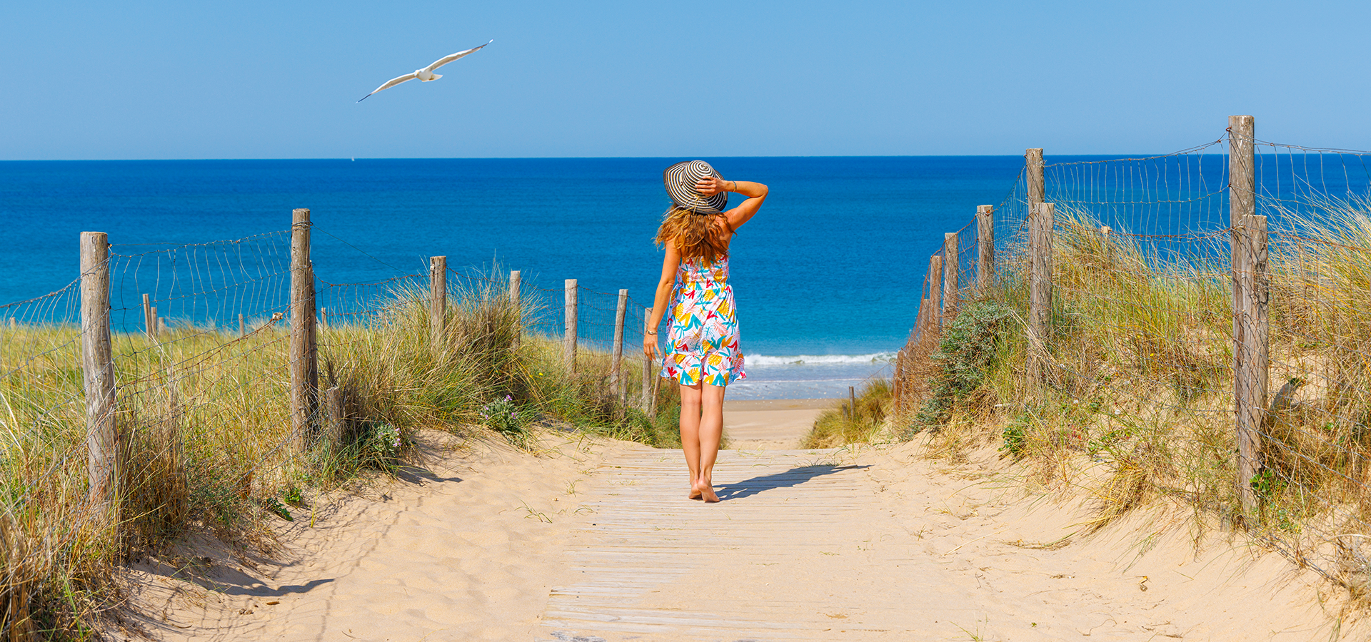 Charente maritime beach Les Mathes La Palmyre