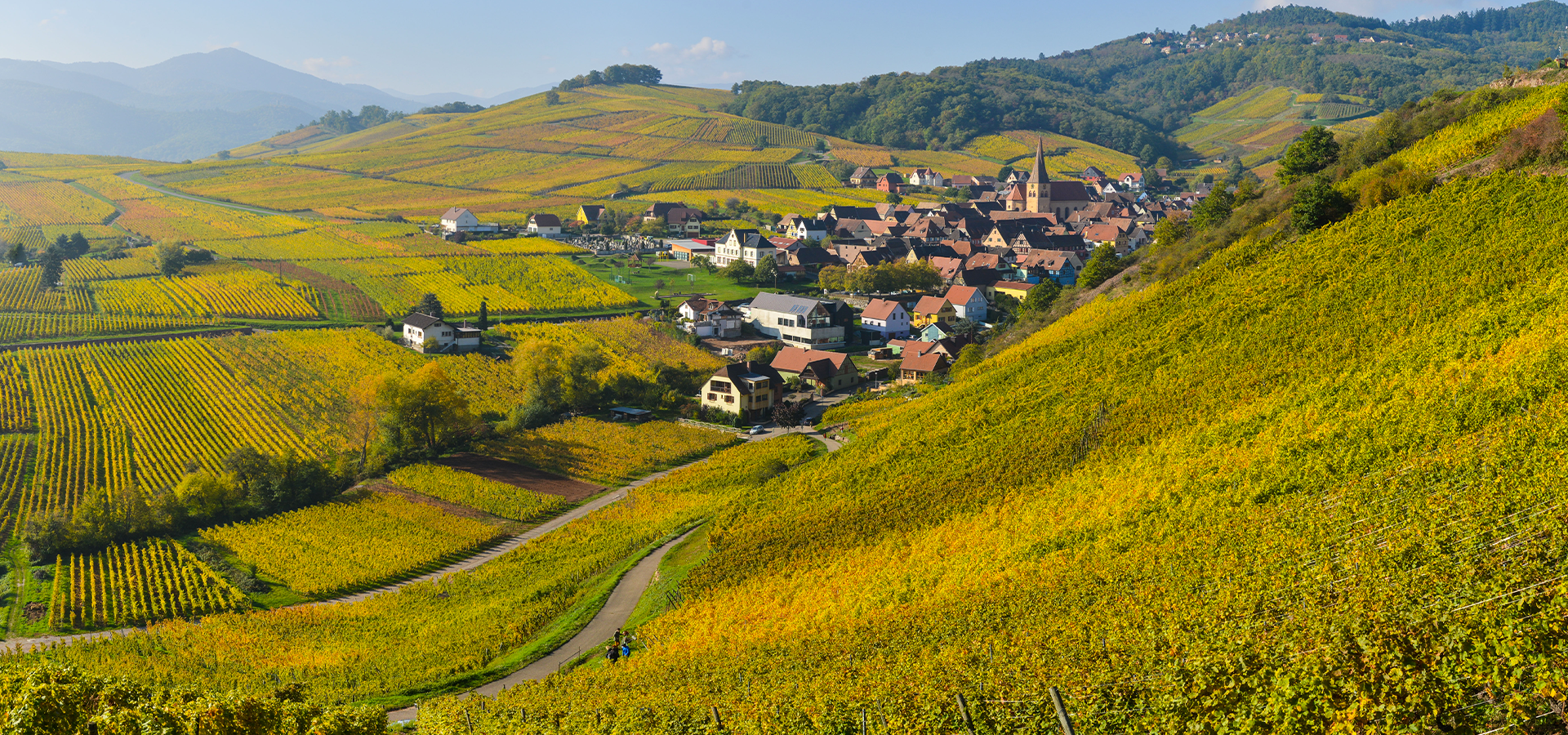 ALSACE AND THE WINE ROUTE