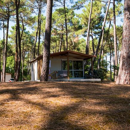 Campsite Domaine de Montcalm Les Mathes La Palmyre Charente-Maritime