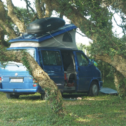 Van under the pines