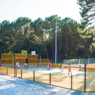 multi sport