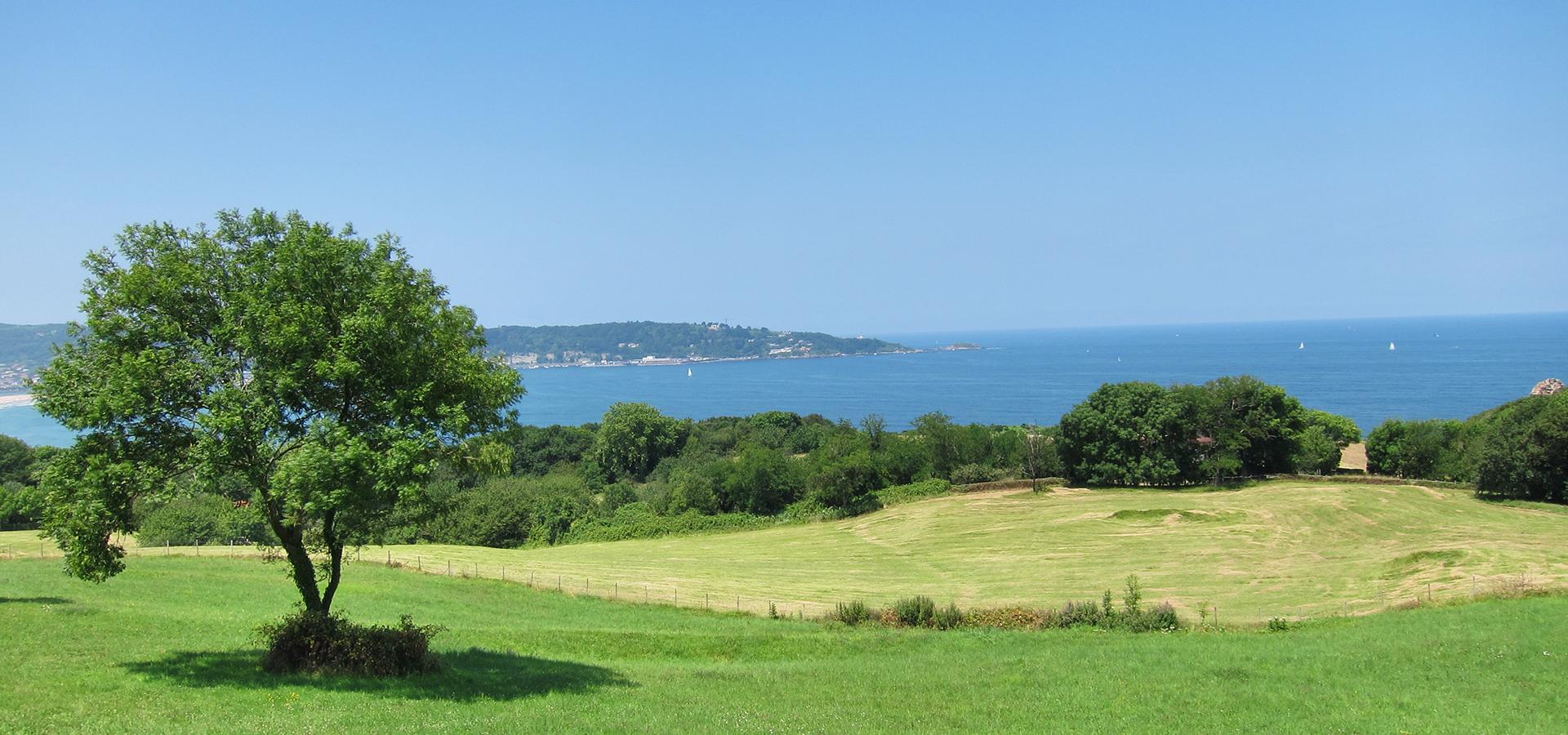 Campsite Arotxa Karrita Saint Pée sur Nivelle Aquitaine Basque Country