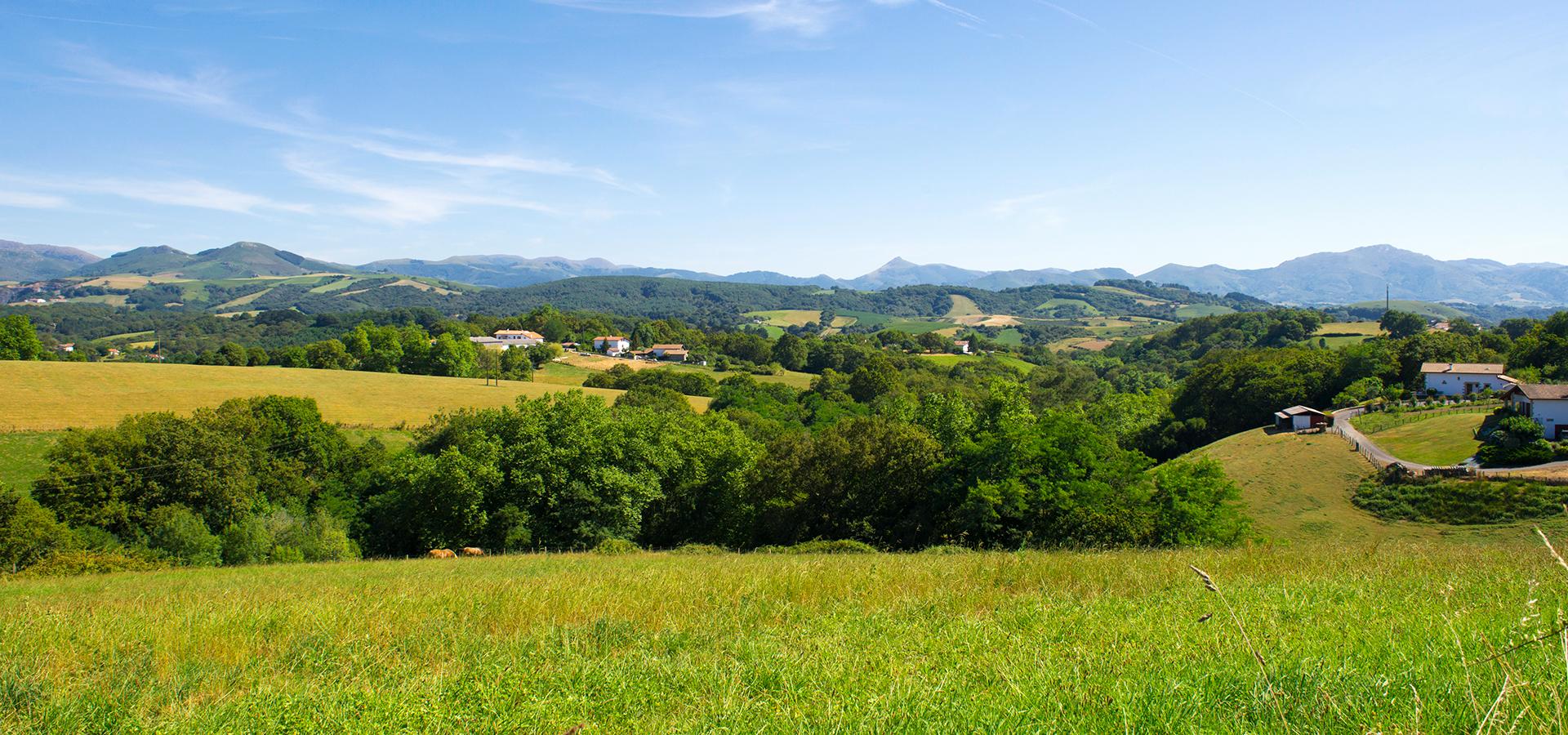 Campsite Arotxa Karrita Saint Pée sur Nivelle Aquitaine Basque Country