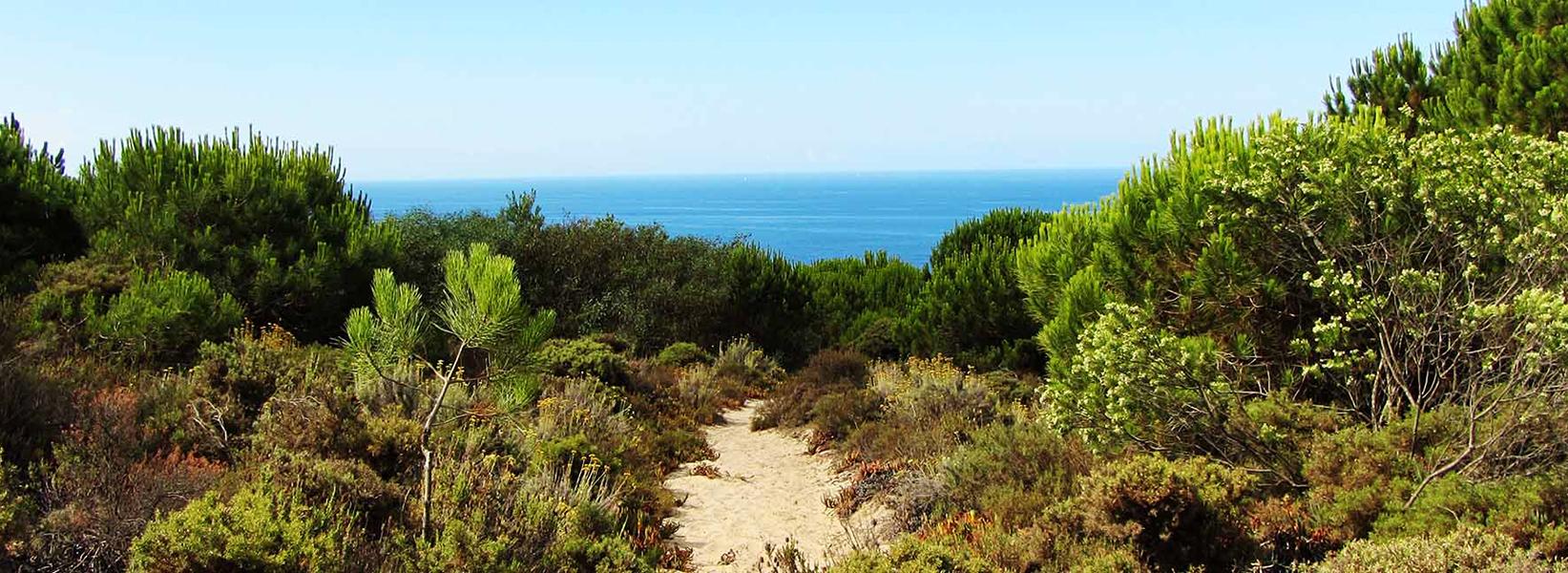 Camping Orbitur Costa de Caparica Portugal