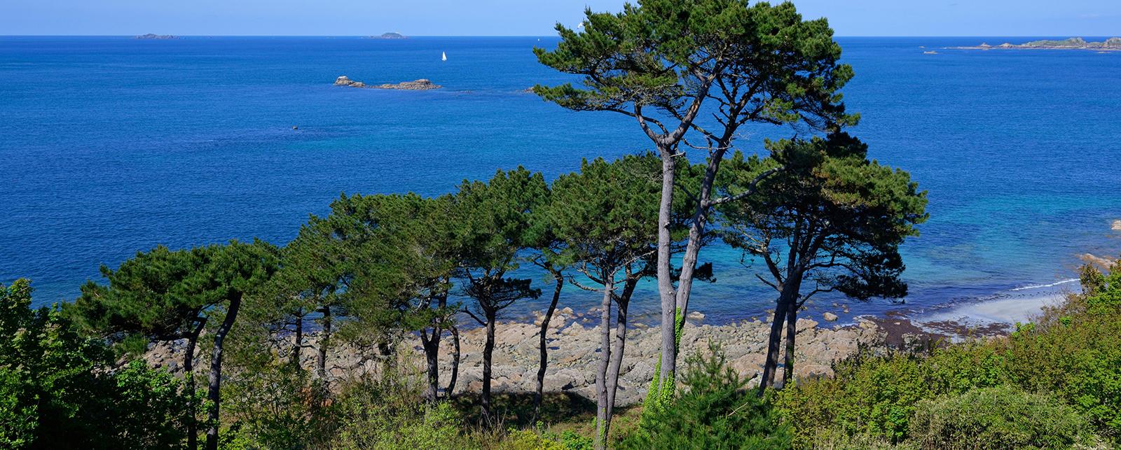 Campsite Les Ajoncs d'Or Trégastel Brittany