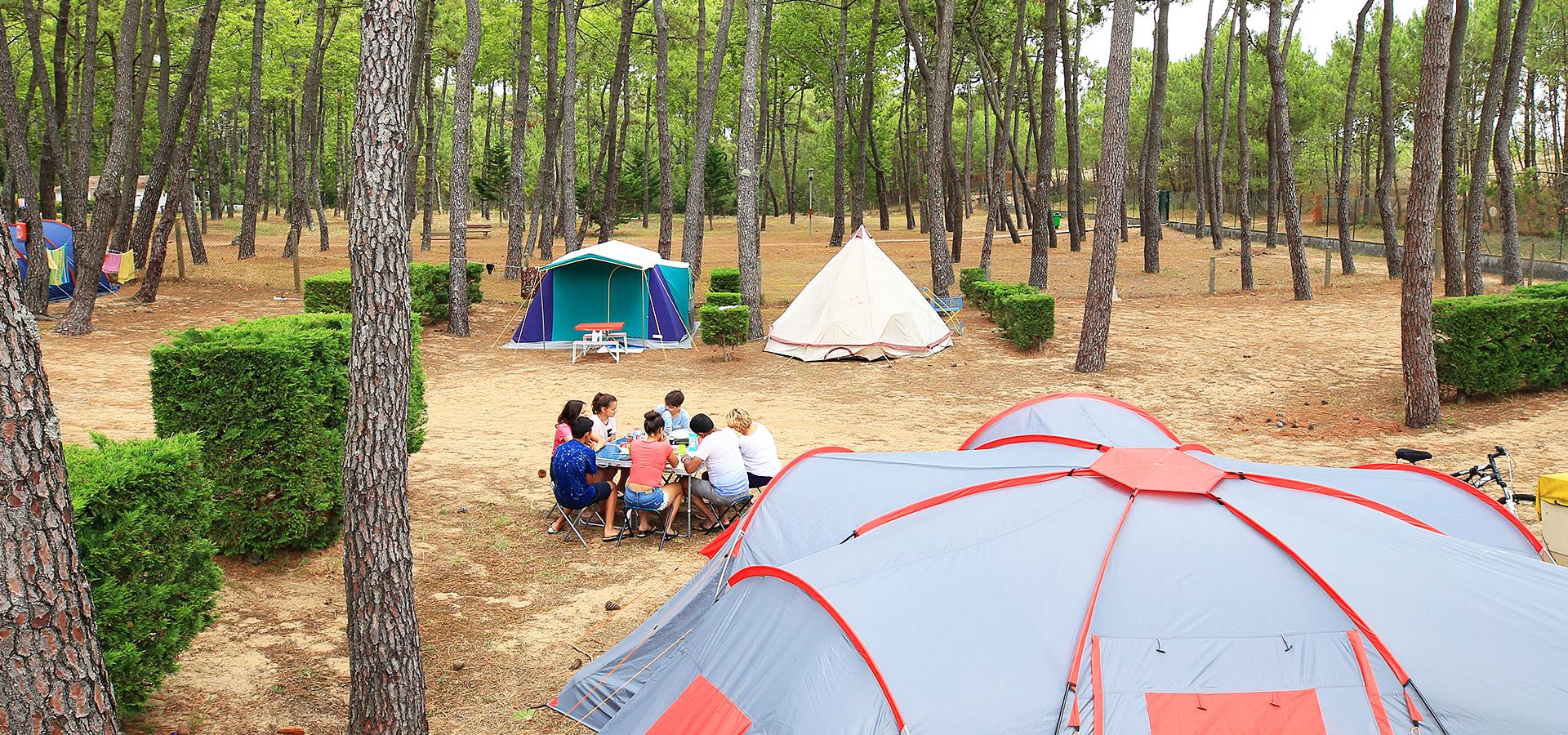 Campsite La Grière La Tranche-sur-Mer Vendée