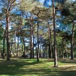 Camping Domaine de la Pinède Bretagne