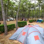 Campsite La Grière La Tranche-sur-Mer Vendée