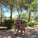 Camping La Pioppa Porto Vecchio South Corsica