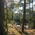 Camping l'Etang Blanc Seignosse Landes