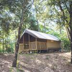 Campsite Domaine de Montcalm Les Mathes La Palmyre Charente-Maritime