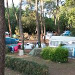 Campsite Domaine de Montcalm Les Mathes La Palmyre Charente-Maritime